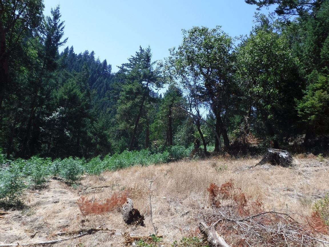 Search Warrant - Case 201603973